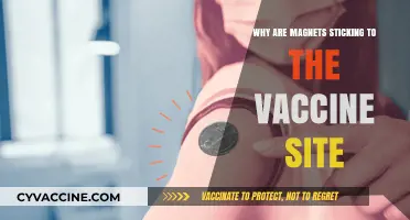 Magnets and Vaccines: Unraveling the Mystery Behind the Sticky Phenomenon