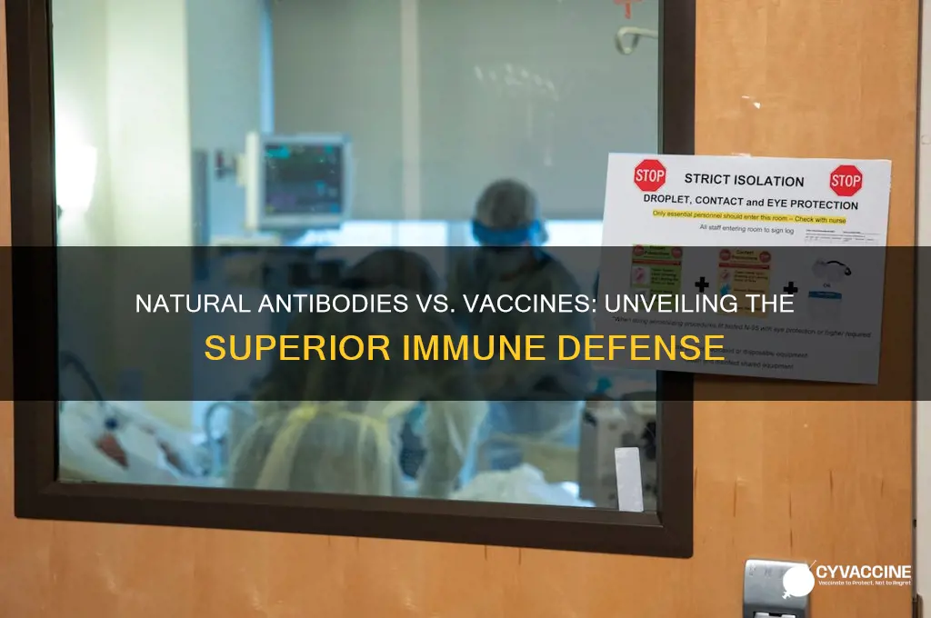 why are natural antibodies better than a vaccine