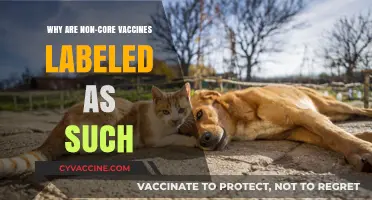 Understanding Non-Core Vaccines: Why They're Classified Differently