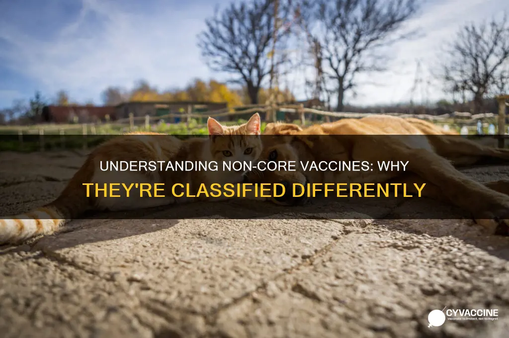 why are non-core vaccines labeled as such