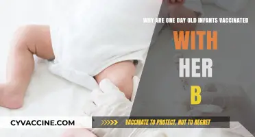 Protecting Newborns: The Importance of Her B Vaccine at Birth