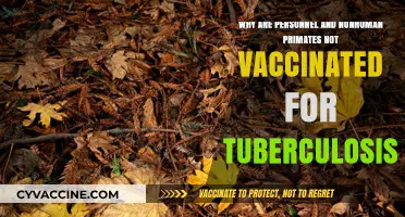 Why Personnel and Nonhuman Primates Skip TB Vaccinations