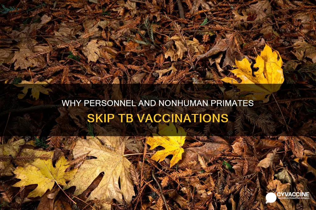 why are personnel and nonhuman primates not vaccinated for tuberculosis