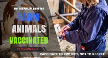 Protecting Poultry and Livestock: The Importance of Farm Animal Vaccinations
