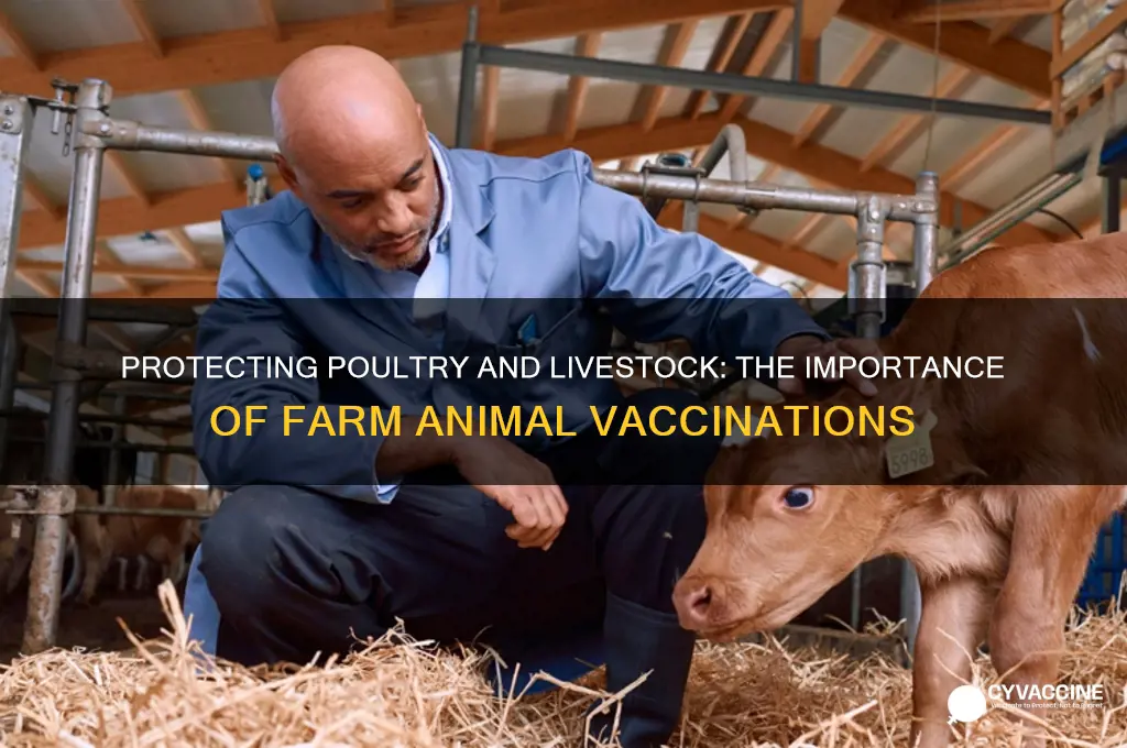 why are poultry birds and farm animals vaccinated