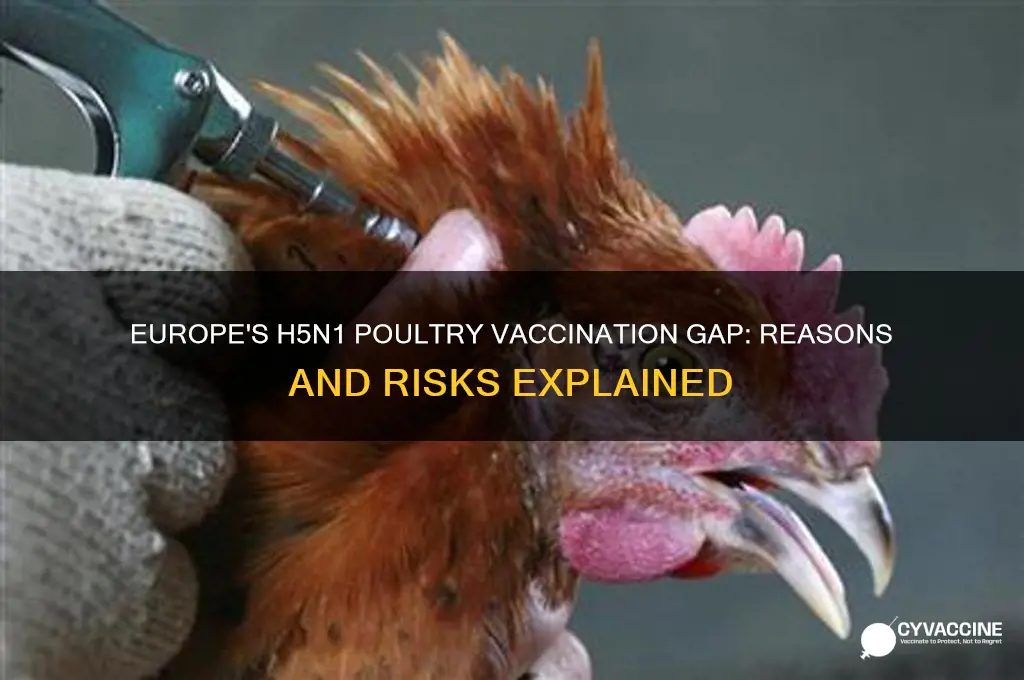 why are poultry not vaccinated for h5n1 in europe