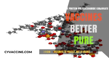 Protein-Polysaccharide Conjugate Vaccines: Superiority Over Pure Alternatives Explained