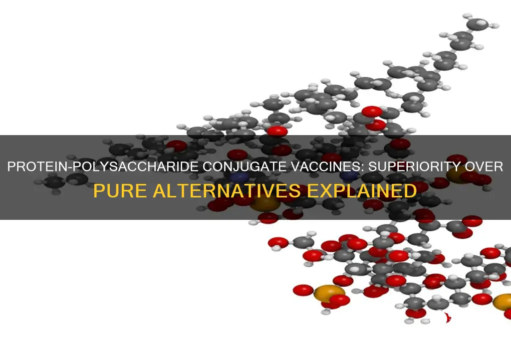 why are protein polysaccharide conjugate vaccines better pure