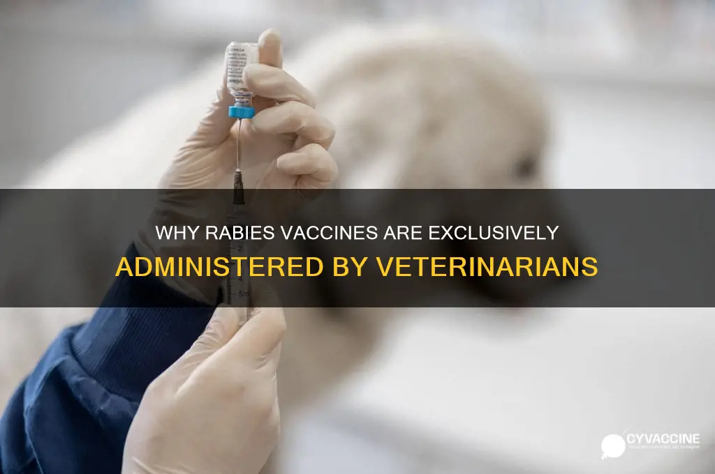 why are rabies vaccine only available at a vet
