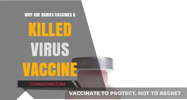 Understanding Rabies Vaccines: The Science Behind Killed Virus Protection