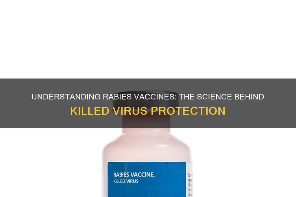 why are rabies vaccines a killed virus vaccine