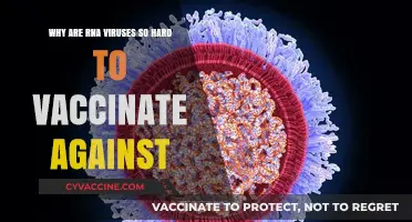 RNA Viruses: Challenges in Developing Effective Vaccines Explained