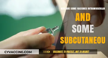 Intramuscular vs. Subcutaneous Vaccines: Understanding Administration Routes and Why They Matter