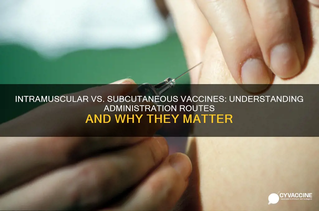 why are some vaccines intramuscular and some subcutaneous