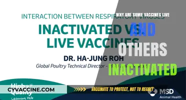 Live vs. Inactivated Vaccines: Understanding the Key Differences and Benefits