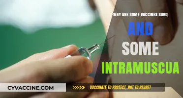 Subcutaneous vs. Intramuscular Vaccines: Understanding the Route of Administration