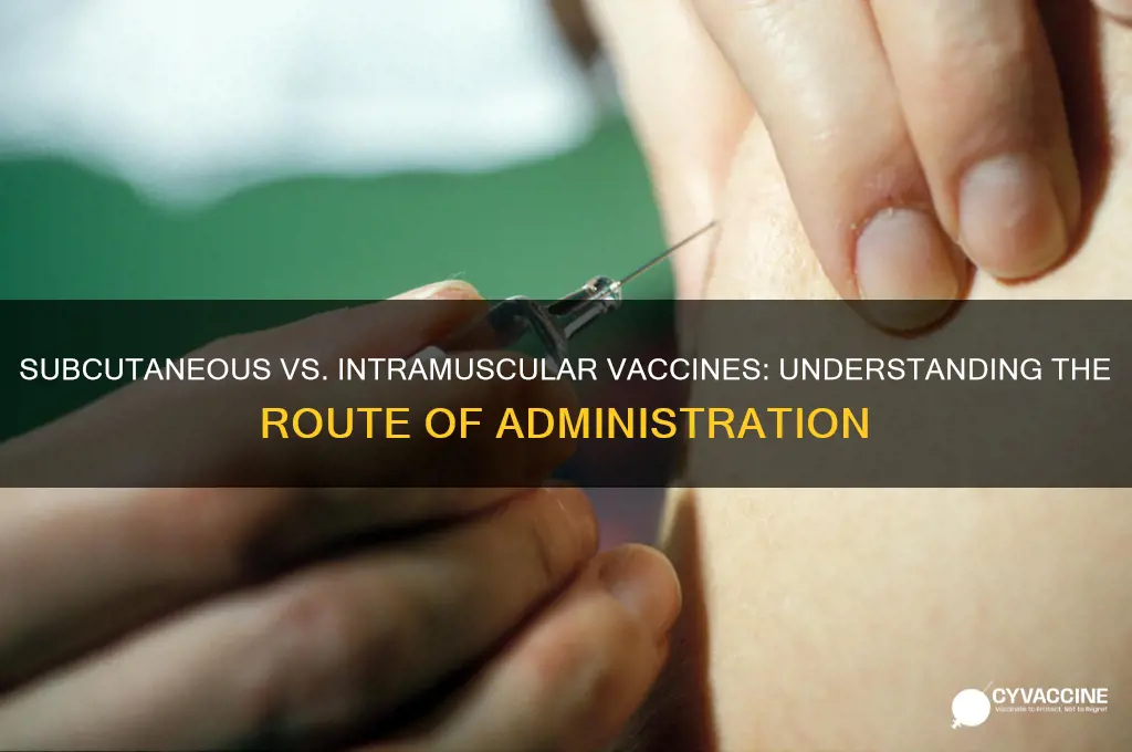 why are some vaccines subq and some intramuscualr