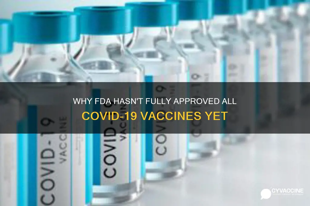 why are the vaccines not approved by the fda