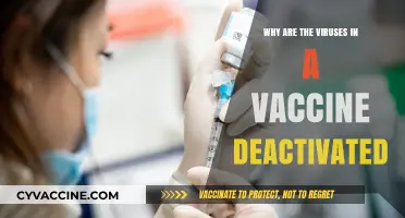 Understanding Vaccine Safety: Why Viruses in Vaccines Are Deactivated