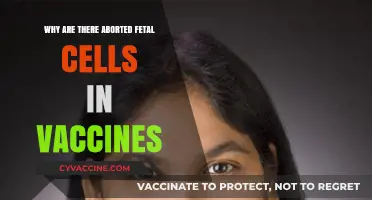 Aborted Fetal Cells in Vaccines: Origins, Safety, and Myths Debunked
