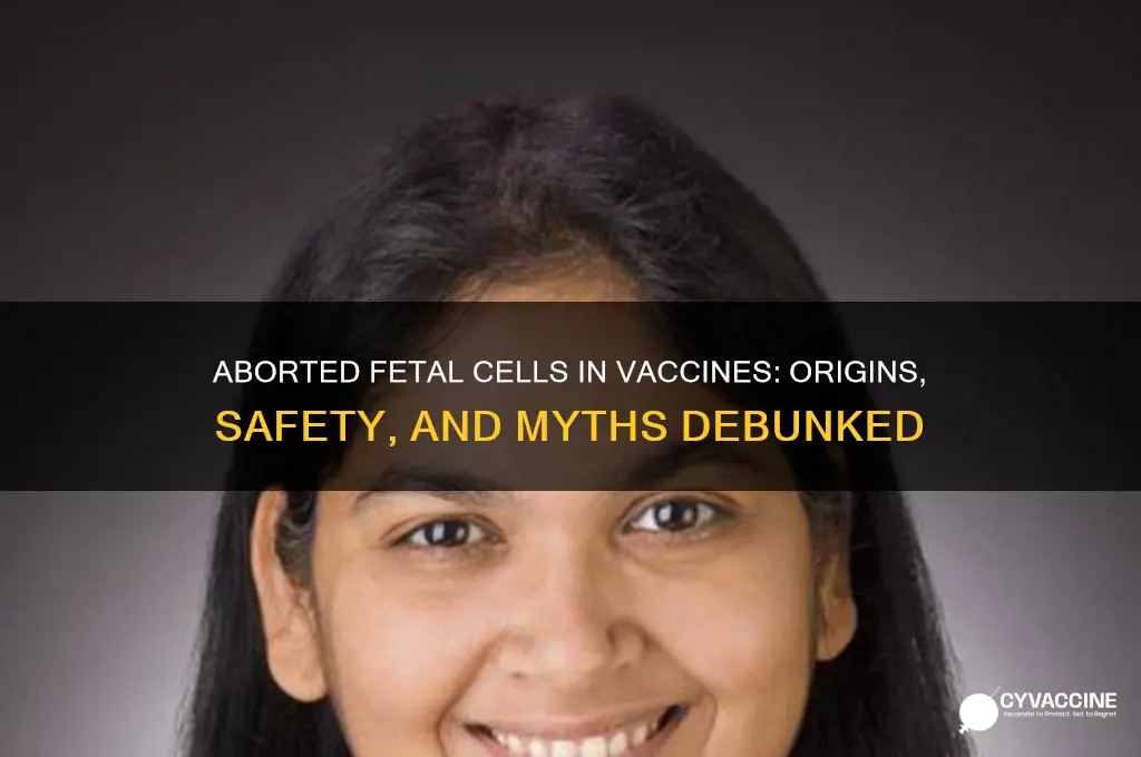 why are there aborted fetal cells in vaccines