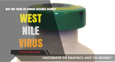 Why No Human Vaccines Exist for West Nile Virus