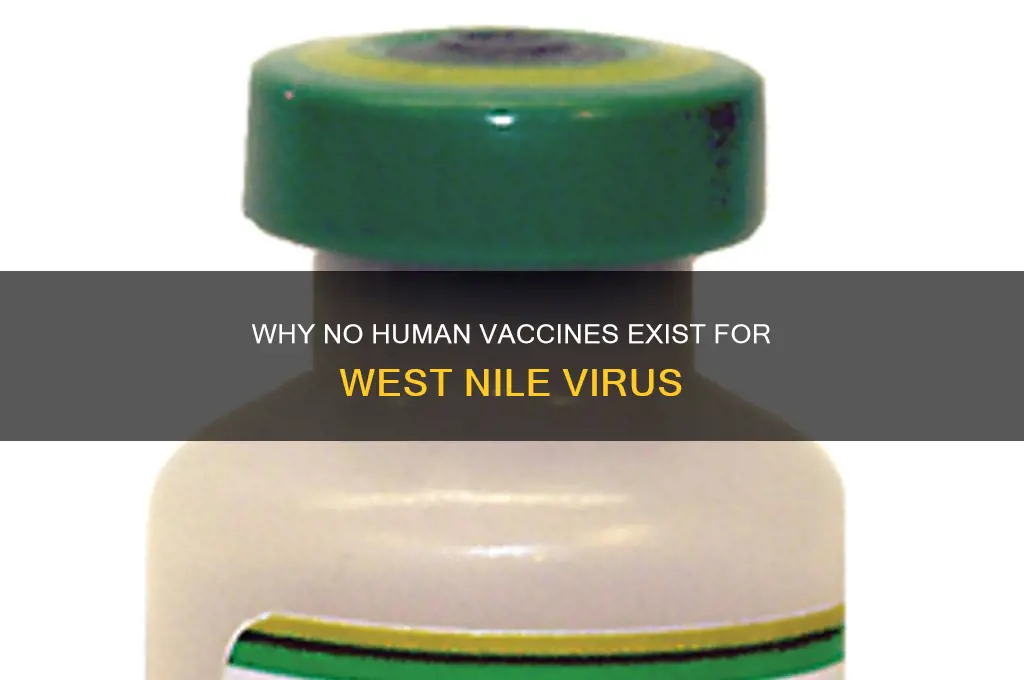 why are there no human vaccines against west nile virus
