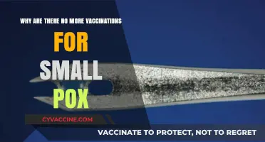 The End of Smallpox Vaccines: A Success Story Explained