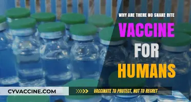 Why Humans Lack a Snake Bite Vaccine: Unraveling the Mystery