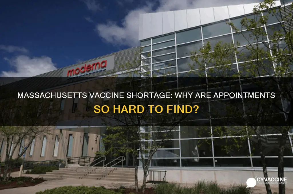 why are there no vaccine appointments in ma