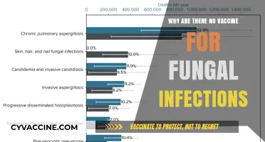 Why Fungal Infections Lack Vaccines: Challenges and Future Prospects