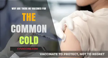 Why the Common Cold Remains Unvaccinated: Scientific Challenges Explained