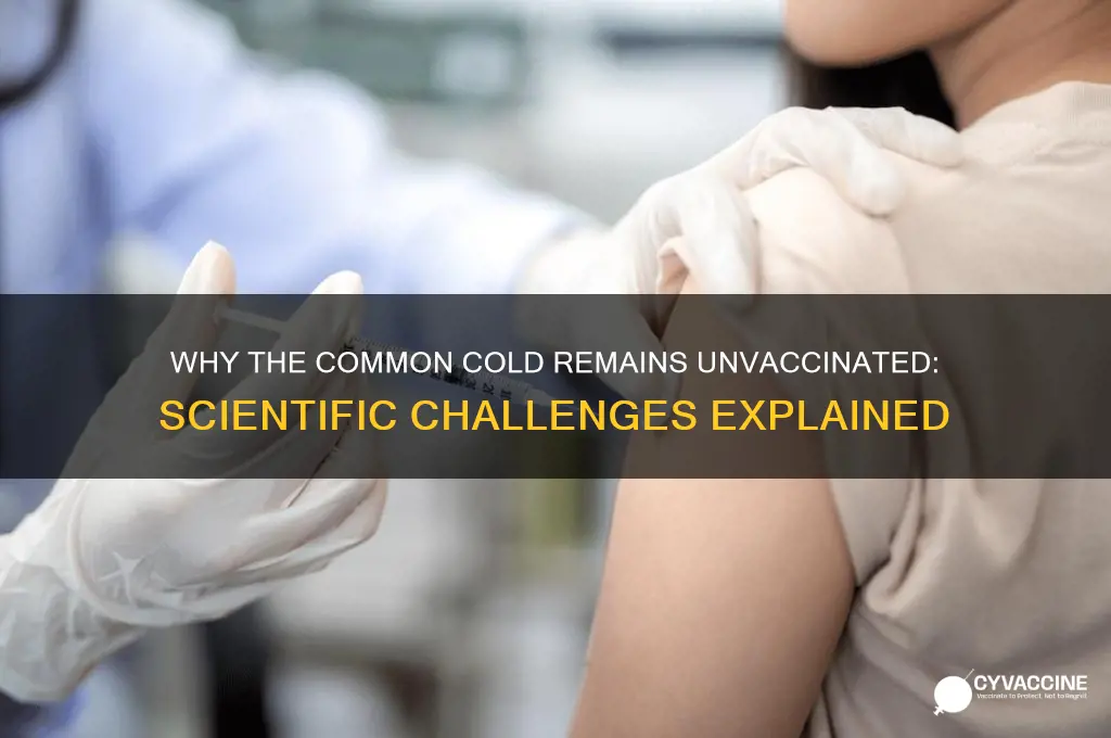 why are there no vaccines for the common cold