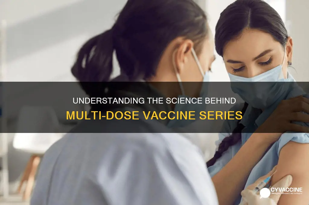 why are there sometimes two vaccine shots in a series