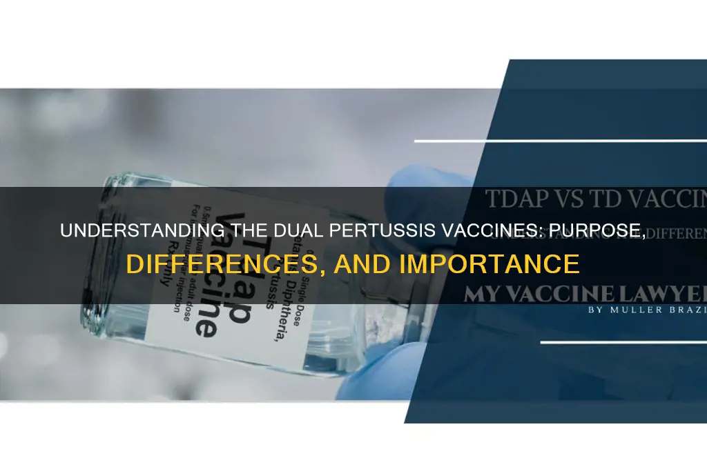 why are there two different types of pertusis vaccines