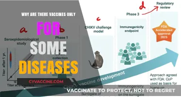 Why Vaccines Exist for Some Diseases but Not Others