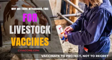 Understanding Livestock Vaccine Withdrawal Times: Safety and Compliance Explained