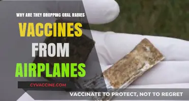 Why Oral Rabies Vaccines Are No Longer Dropped from Airplanes