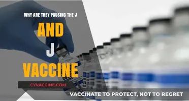 Understanding the Pause: Johnson & Johnson Vaccine Halt Explained