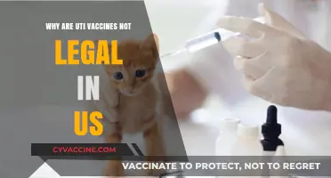 UTI Vaccines: Why Are They Still Illegal in the US?