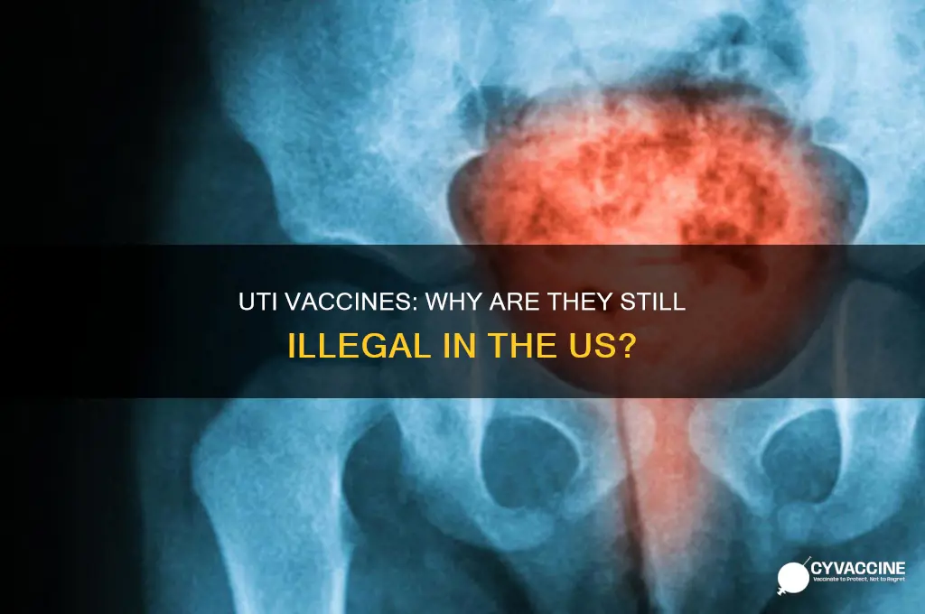 why are uti vaccines not legal in us