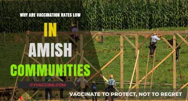 Understanding Low Vaccination Rates in Amish Communities: Cultural and Historical Insights