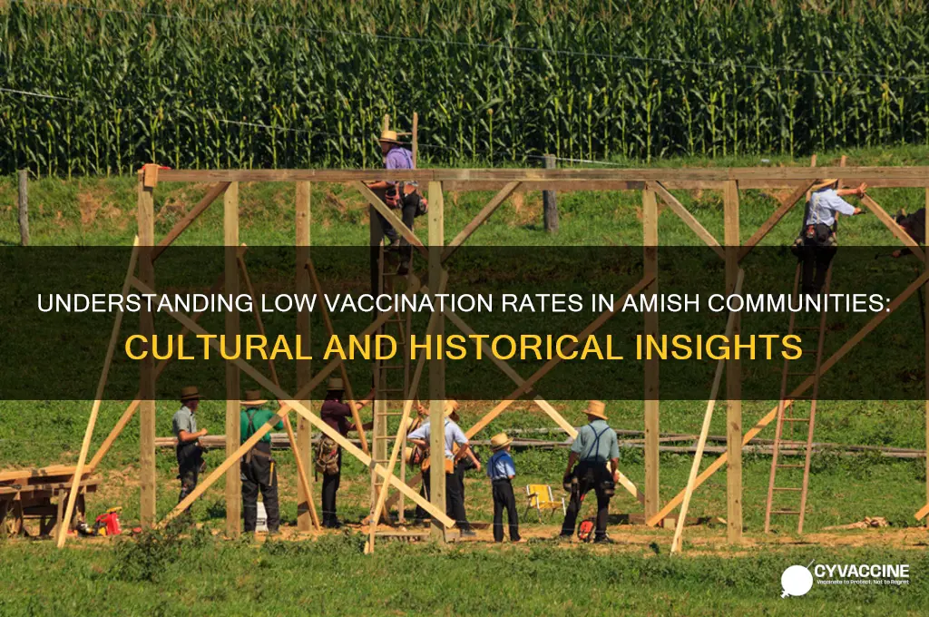 why are vaccination rates low in amish communities