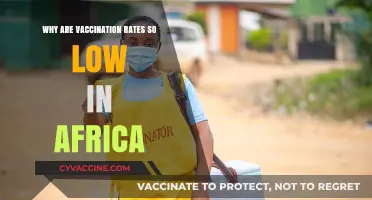 Understanding Africa's Low Vaccination Rates: Challenges and Solutions
