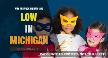 Understanding Michigan's Low Vaccine Rates: Causes and Solutions