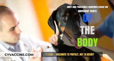 Vaccine Administration Sites: Understanding Why Different Body Parts Are Chosen