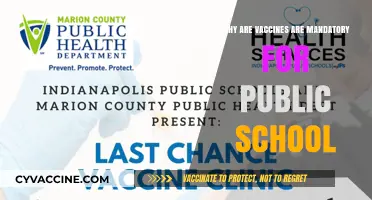 Vaccines in Public Schools: Protecting Health, Ensuring Safety, and Why They're Mandatory
