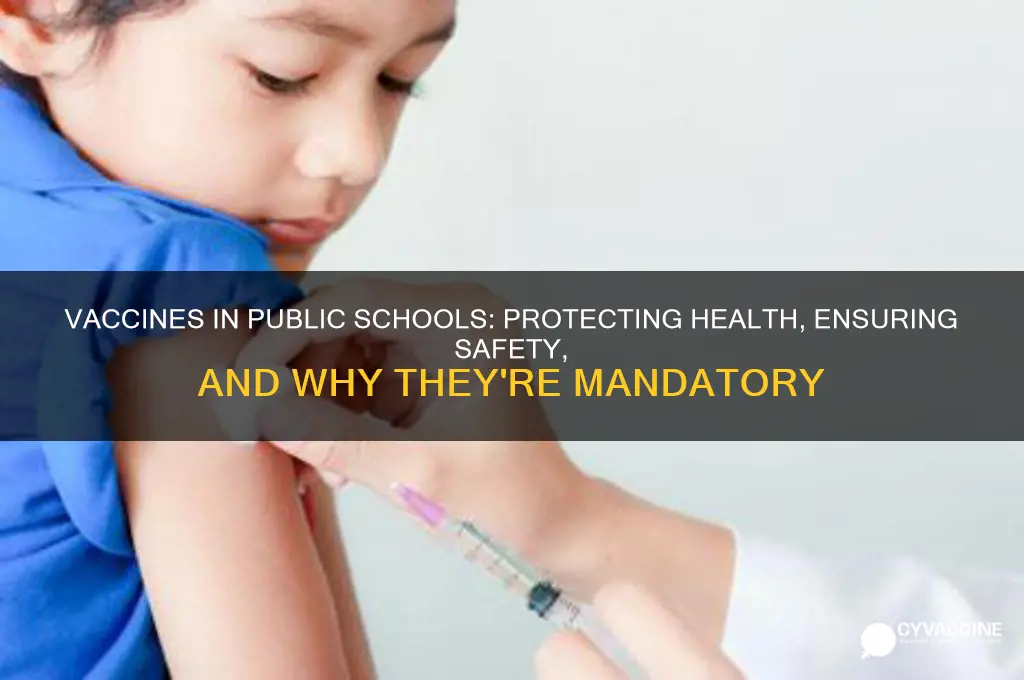 why are vaccines are mandatory for public school