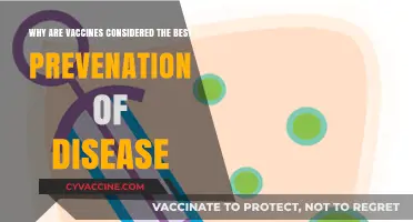 Vaccines: The Ultimate Shield Against Deadly Diseases and Infections