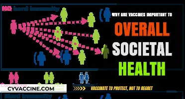 Vaccines: Safeguarding Societal Health Through Prevention and Collective Immunity